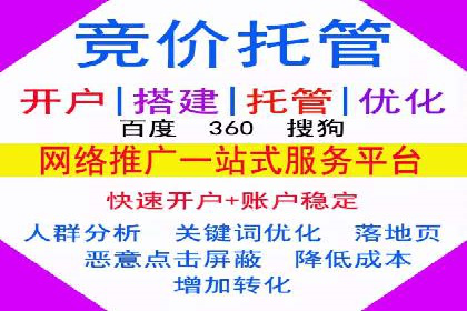 SEM运营公司成功案例解析
